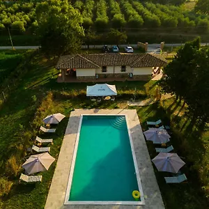 Agriturismo Anfora Della Vita Massa Marittima